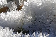 Heavy frost December 2022